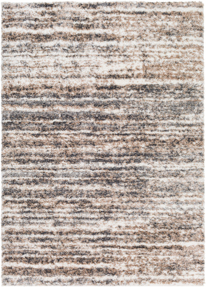 Surya Aliyah Shag Alh-2307 Charcoal, Cream, Light Gray, Medium Gray Area Rug