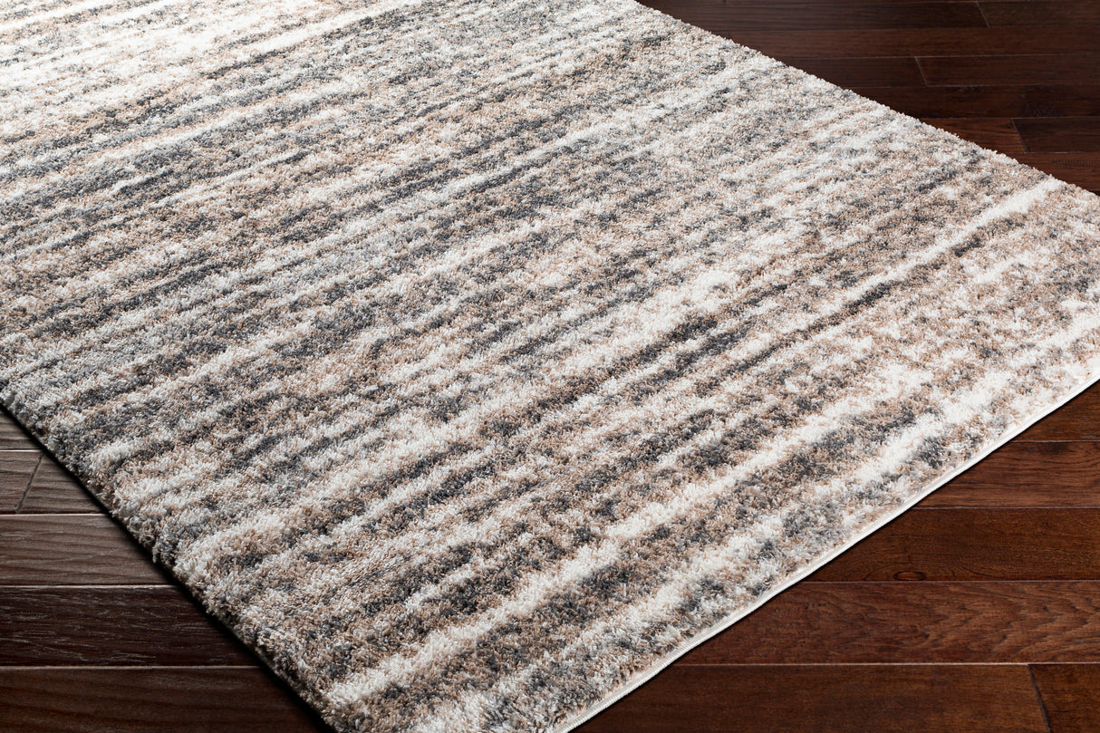 Surya Aliyah Shag Alh-2307 Charcoal, Cream, Light Gray, Medium Gray Rugs.