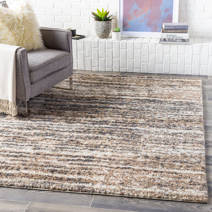 Surya Aliyah Shag Alh-2307 Charcoal, Cream, Light Gray, Medium Gray Area Rug