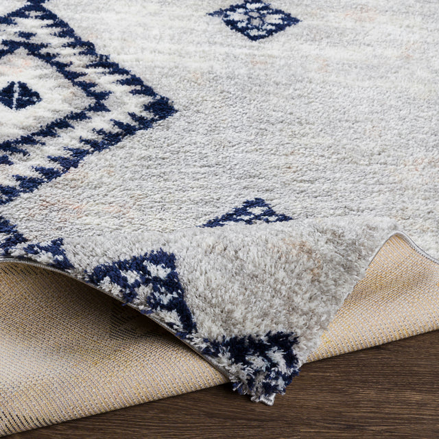 Surya Aliyah Shag Alh-2313 Light Gray, Cream, Medium Gray, Dark Blue Rugs.