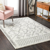 Surya Aliyah Shag Alh-2315 Medium Gray, Cream Area Rug