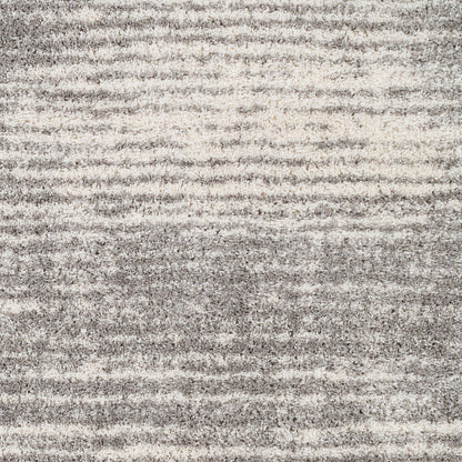 Surya Aliyah Shag Alh-2318 Medium Gray, Cream, Light Gray Area Rug