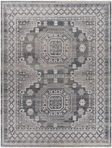 Surya Almeria Alm-2300 Charcoal, Medium Gray, Beige, Pale Blue Rugs.
