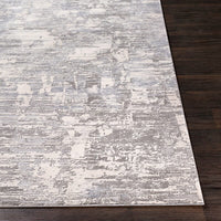 Surya Alpine Alp-2301 Medium Gray, Charcoal, Ivory Organic / Abstract Area Rug