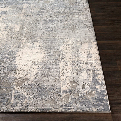 Surya Alpine Alp-2306 Medium Gray, Charcoal, Light Gray Area Rug