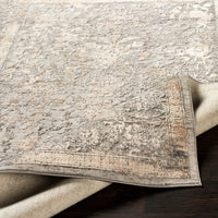 Surya Alpine Alp-2307 Light Gray, Ivory, Camel Vintage / Distressed Area Rug