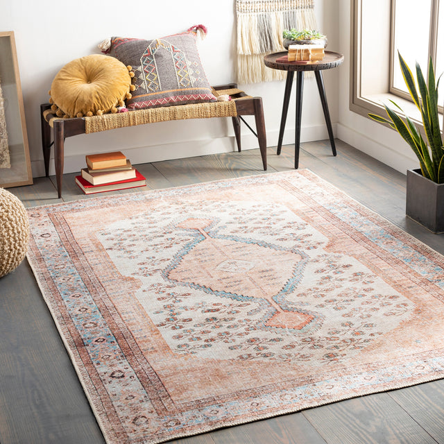 Surya Amelie Aml-2326 Blush, Ivory, Aqua, Peach Rugs.