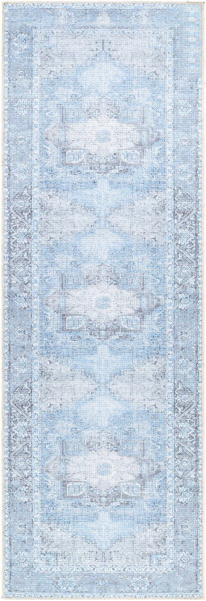 Surya Amelie Aml-2362 Light Blue Area Rug