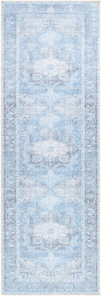 Surya Amelie Aml-2362 Light Blue Area Rug