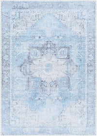 Surya Amelie Aml-2362 Light Blue Area Rug