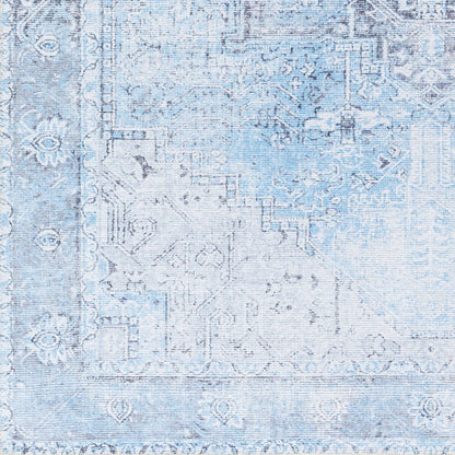 Surya Amelie Aml-2362 Light Blue Area Rug