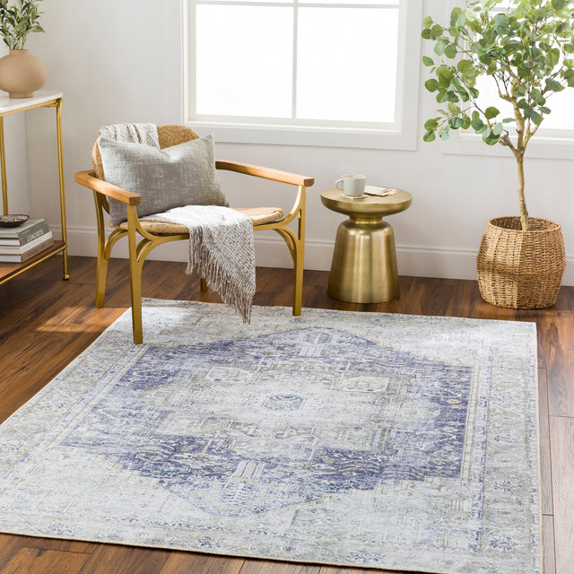 Surya Machine Washable Amelie Aml-2363 Beige Rug.