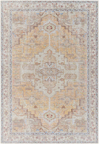 Surya Amelie Aml-2373 Orange Area Rug