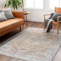 Surya Amelie Aml-2373 Orange Area Rug