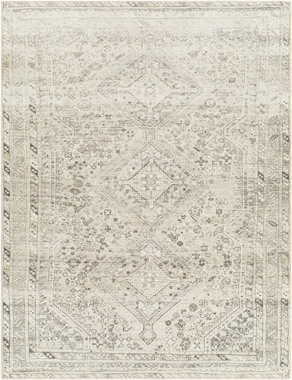 Surya Amelie Aml-2379 Beige Area Rug