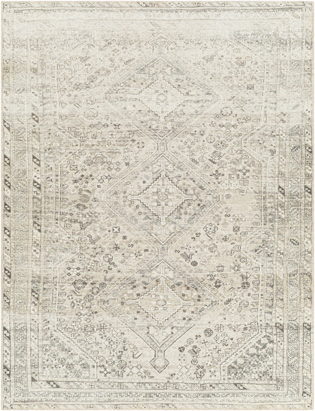 Surya Machine Washable Amelie Aml-2379 Beige Rug.