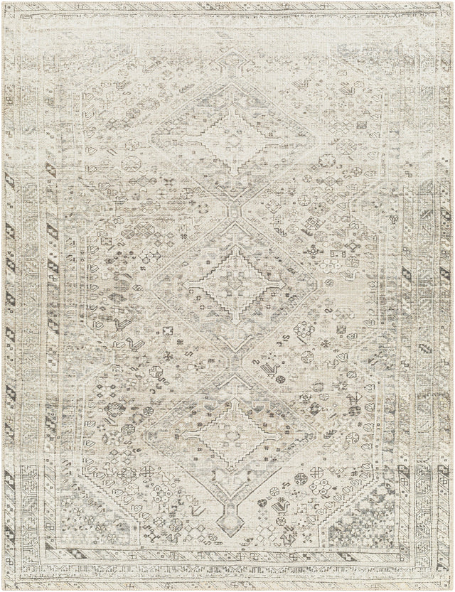 Surya Machine Washable Amelie Aml-2379 Beige Rug.