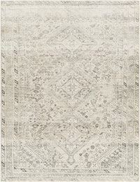 Surya Amelie Aml-2379 Beige Area Rug