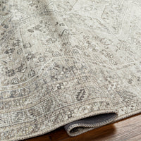 Surya Amelie Aml-2379 Beige Area Rug