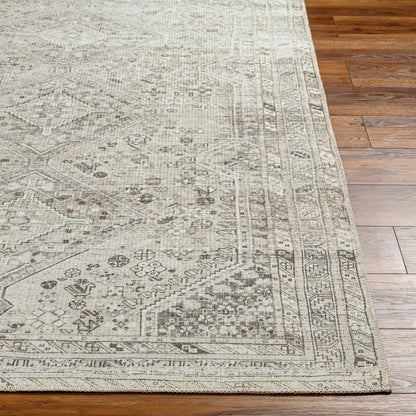 Surya Amelie Aml-2379 Beige Area Rug