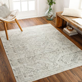 Surya Machine Washable Amelie Aml-2379 Beige Rug.