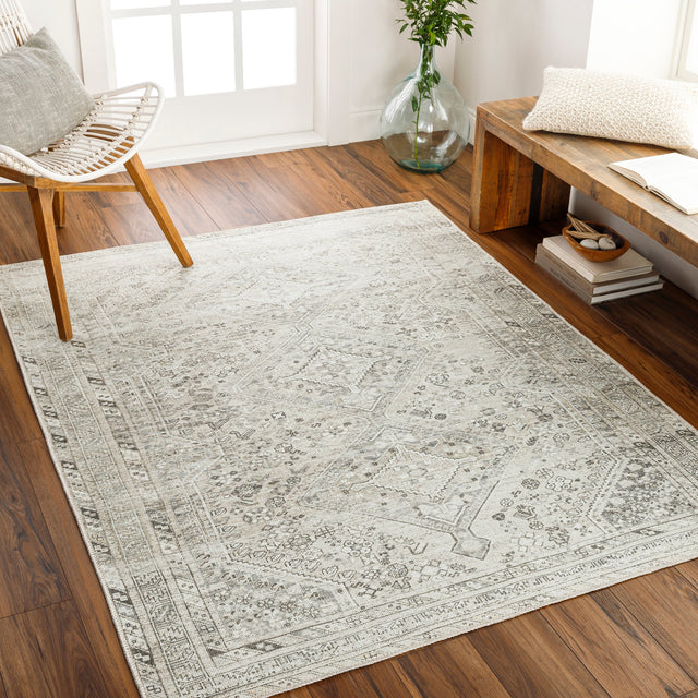 Surya Machine Washable Amelie Aml-2379 Beige Rug.