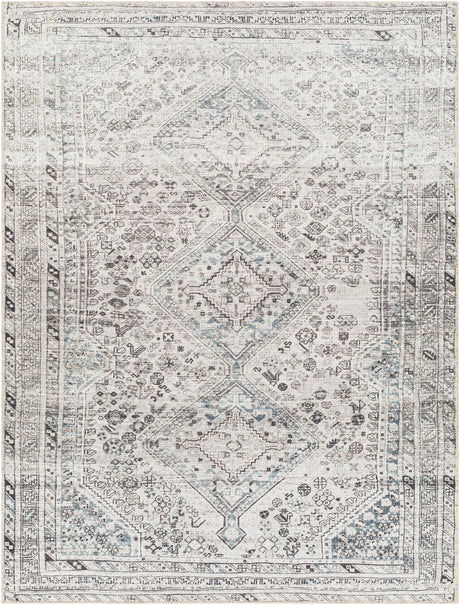 Surya Machine Washable Amelie Aml-2380 Beige Rug.