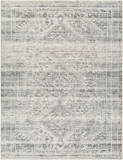 Surya Amelie Aml-2381 Grey Area Rug