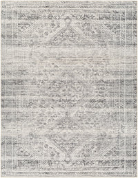 Surya Amelie Aml-2381 Grey Area Rug