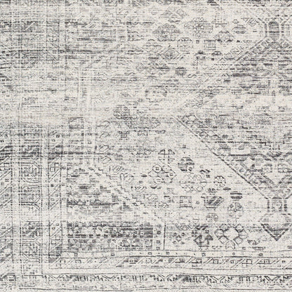 Surya Amelie Aml-2381 Grey Area Rug