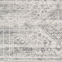 Surya Amelie Aml-2381 Grey Area Rug