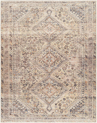 Surya Amelie Aml-2382 Tan & Ivory Area Rug