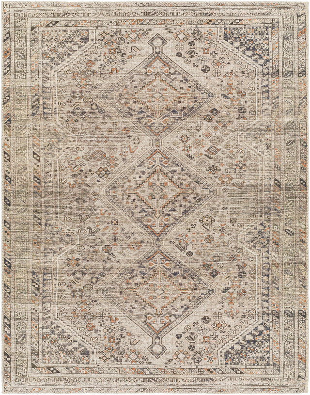 Surya Machine Washable Amelie Aml-2383 Brown Rug.