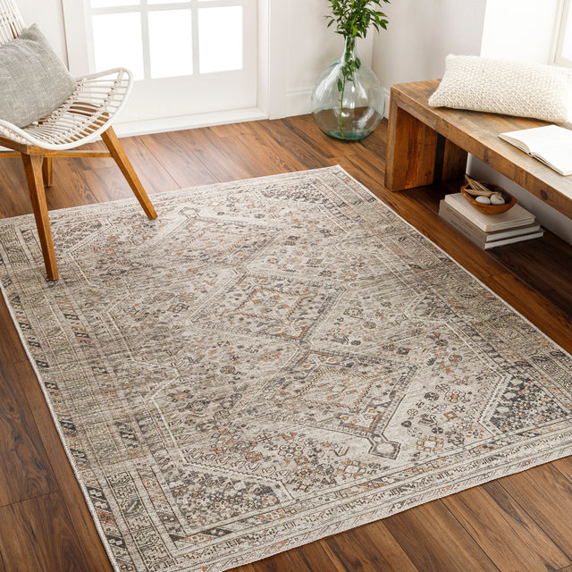 Surya Machine Washable Amelie Aml-2383 Brown Rug.