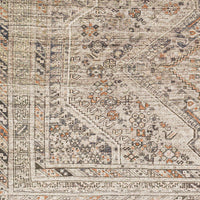 Surya Amelie Aml-2383 Brown Area Rug