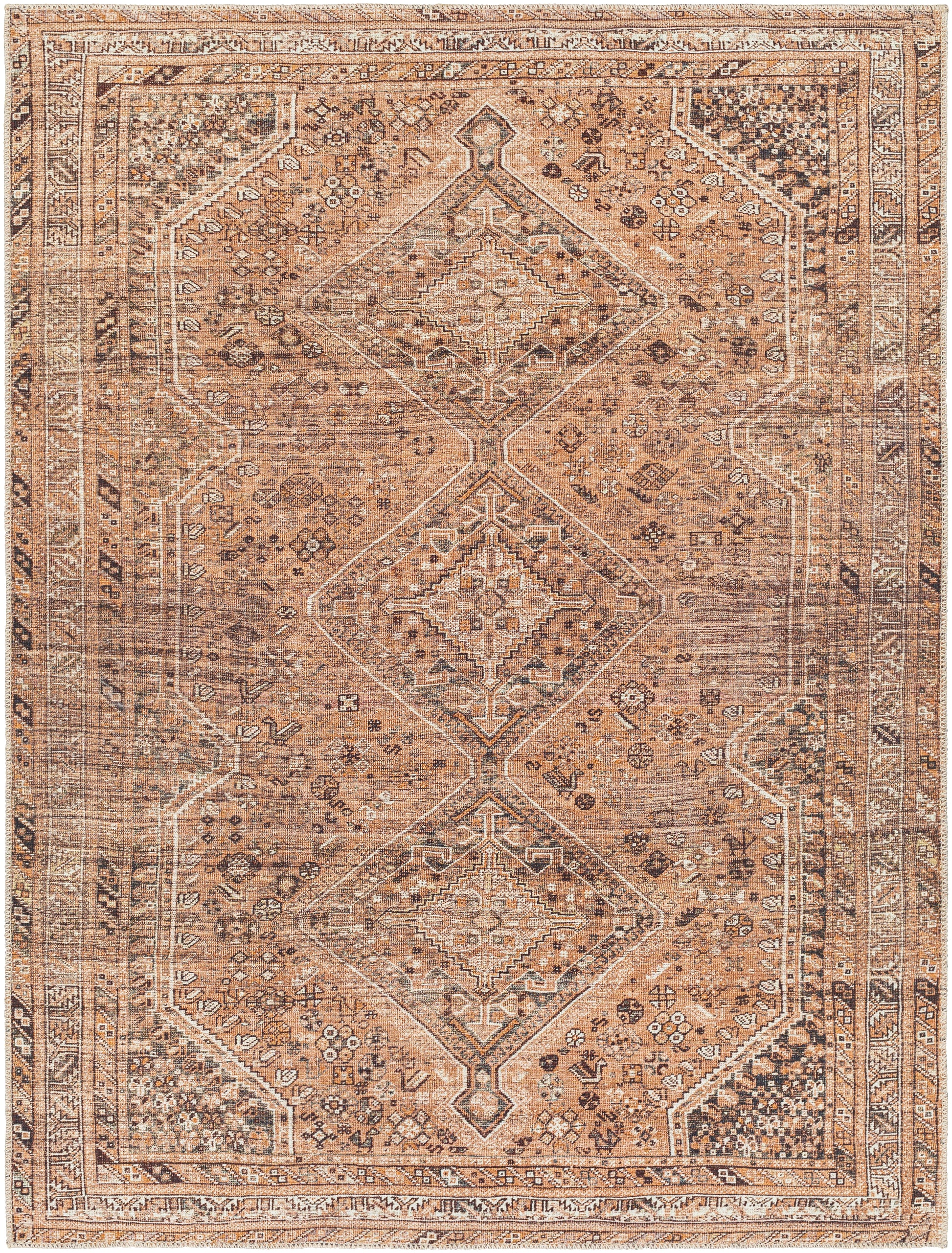 Surya Amelie Aml-2384 Orange Area Rug