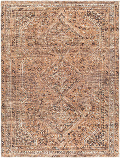 Surya Amelie Aml-2384 Orange Area Rug