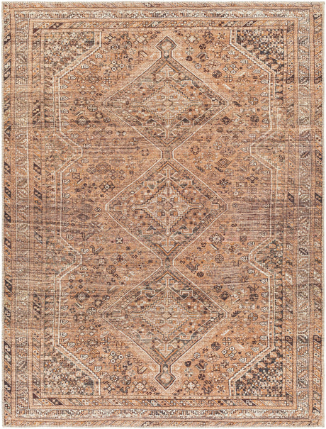 Surya Machine Washable Amelie Aml-2384 Orange Rug.