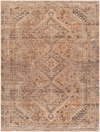 Surya Amelie Aml-2384 Orange Area Rug