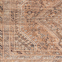 Surya Amelie Aml-2384 Orange Area Rug