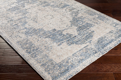 Surya Amore Amo-2304 Navy, Denim, Beige, Cream Area Rug