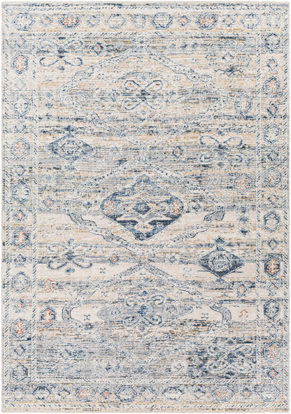 Surya Amore Amo-2309 Navy, Denim, Medium Gray, Taupe Area Rug