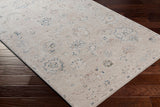 Surya Amore Amo-2321 Denim, Rust, Light Olive, Oatmeal Rugs.