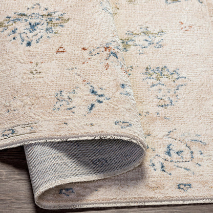 Surya Amore Amo-2321 Denim, Rust, Light Olive, Oatmeal Area Rug