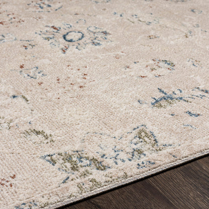 Surya Amore Amo-2321 Denim, Rust, Light Olive, Oatmeal Area Rug