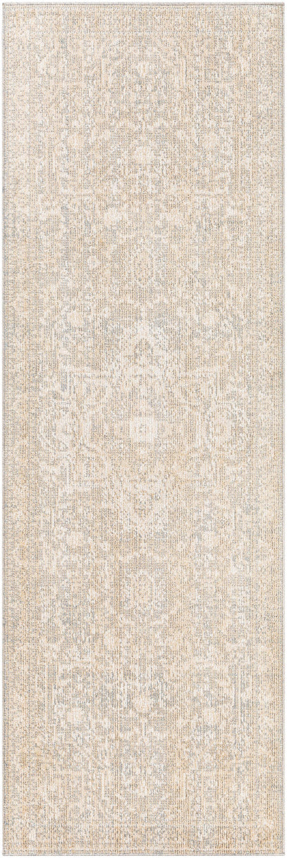 Surya Amore Amo-2324 Beige, Gray, Light Gray, Oatmeal Area Rug