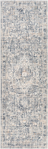 Surya Amore Amo-2326 Dark Blue, Charcoal, Gray, Light Gray Area Rug