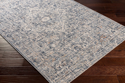 Surya Amore Amo-2326 Dark Blue, Charcoal, Gray, Light Gray Area Rug