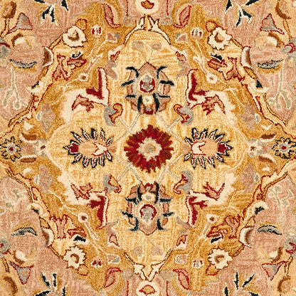 Safavieh Anatolia An534A Gold / Ivory Area Rug