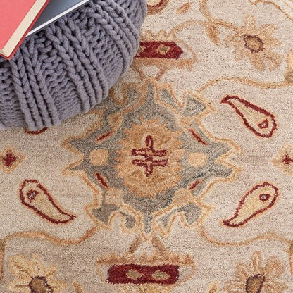 Safavieh Anatolia an543c Ivory / Gold Rugs